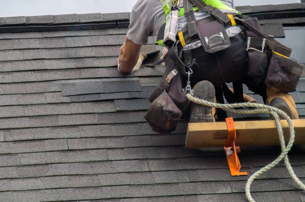Best Storm Damage Roof Repair  in Petersburg, IN