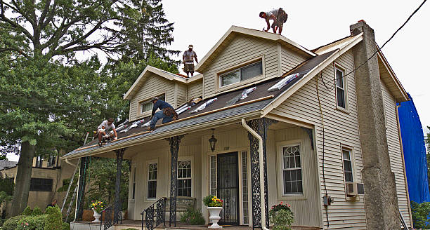 Best Roof Leak Repair  in Petersburg, IN