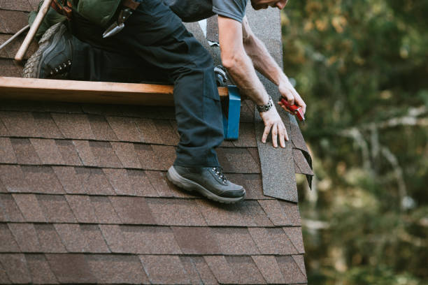 Roof Gutter Cleaning in Petersburg, IN